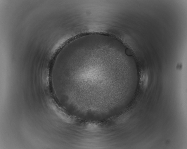 X0000112850684200908281604