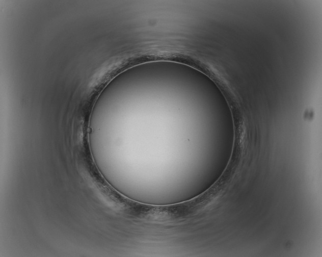 X0000112850685200908281604