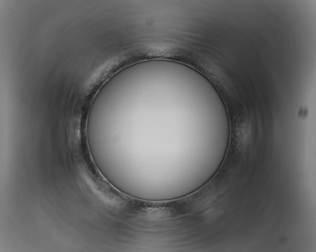 X0000112850686200908281604