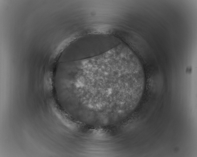 X0000112850688200908281604