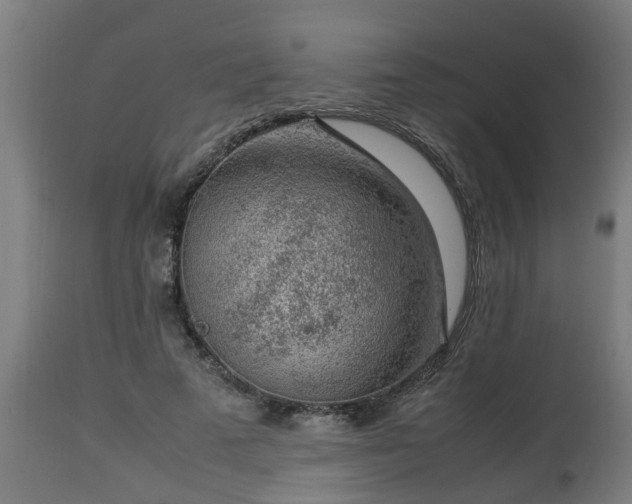 X0000112850689200908281604