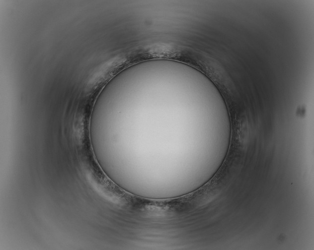X0000112850690200908281604
