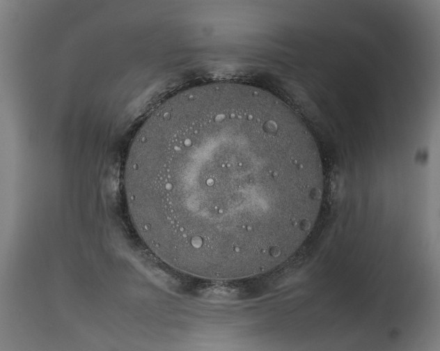 X0000112850691200908281604