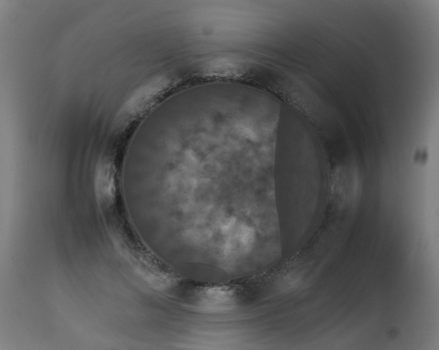 X0000112850692200908281604