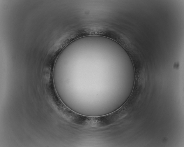 X0000112850695200908281604