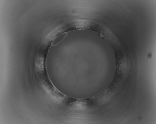 X0000112850696200908281604