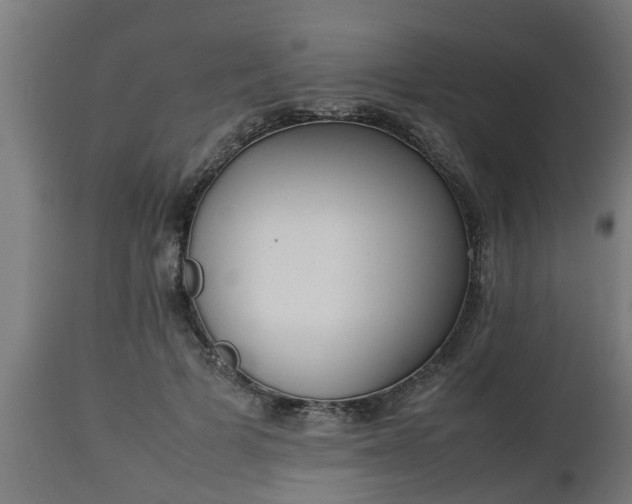 X0000112850697200908281604