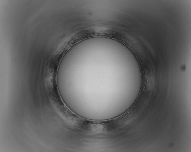 X0000112850698200908281604