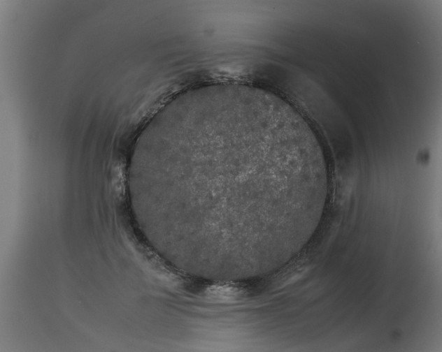 X0000112850699200908281604