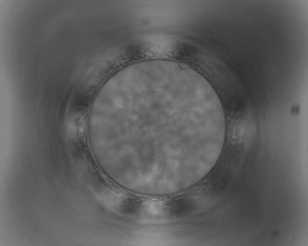 X0000112850701200908281604