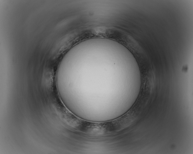 X0000112850702200908281604