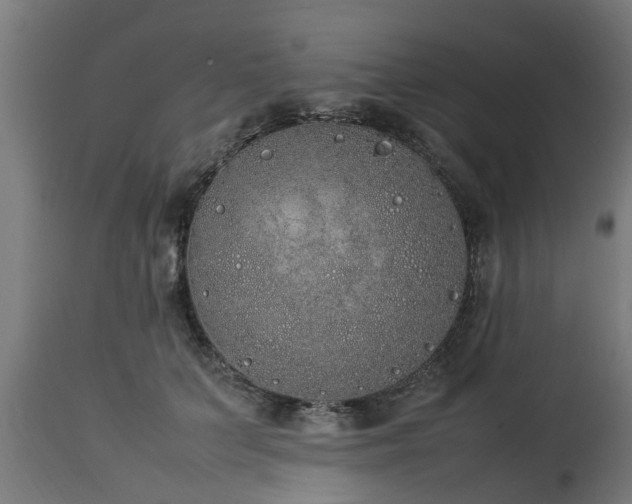 X0000112850703200908281604