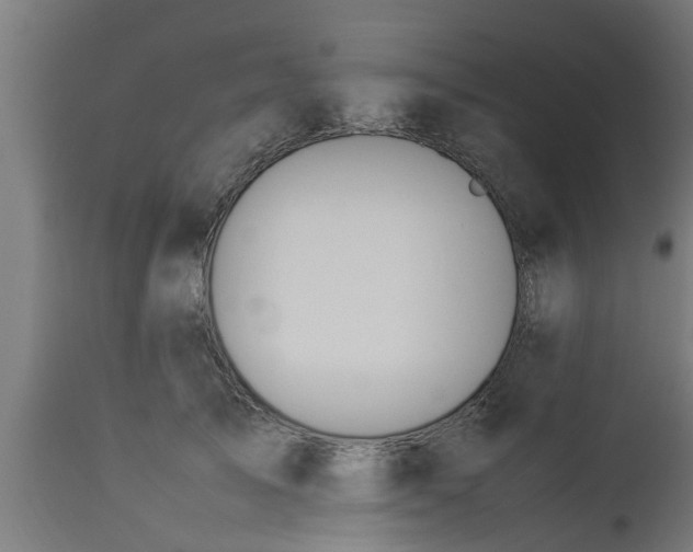 X0000112850705200908281604