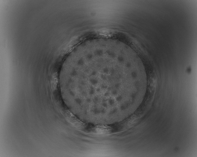 X0000112850707200908281604