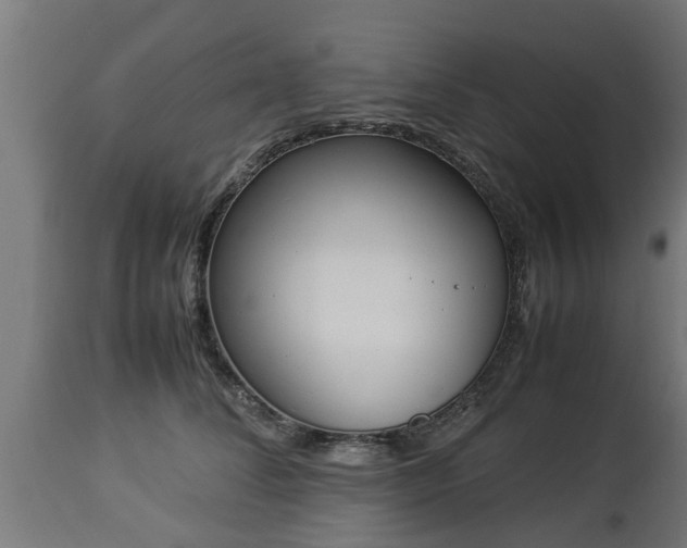 X0000112850708200908281604