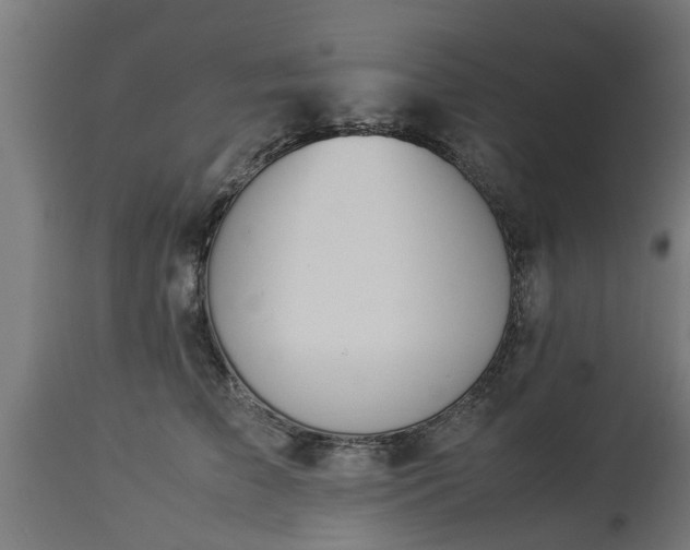 X0000112850709200908281604