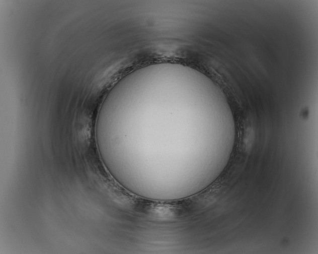 X0000112850710200908281604