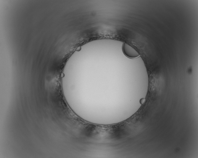 X0000112850713200908281604