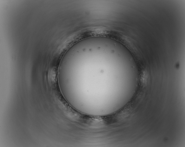 X0000112850715200908281603