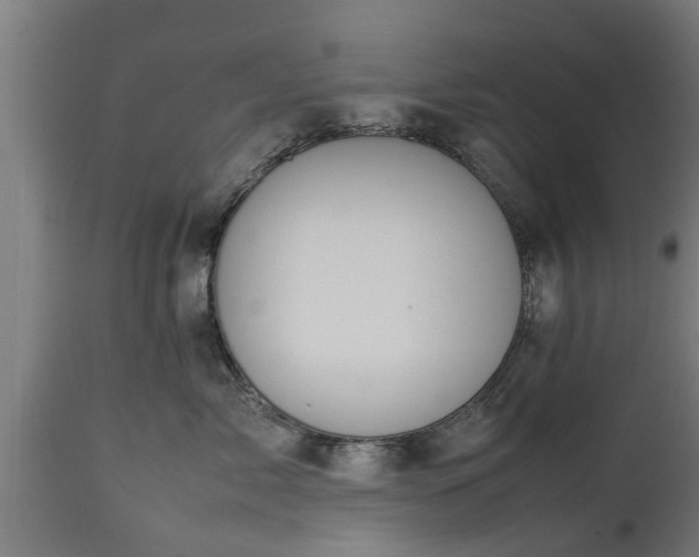 X0000112850717200908281603