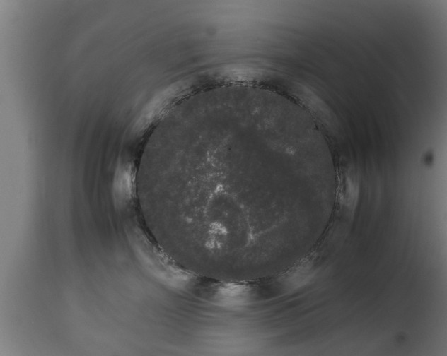 X0000112850718200908281603