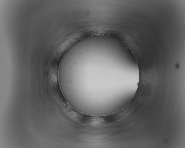 X0000112850719200908281603