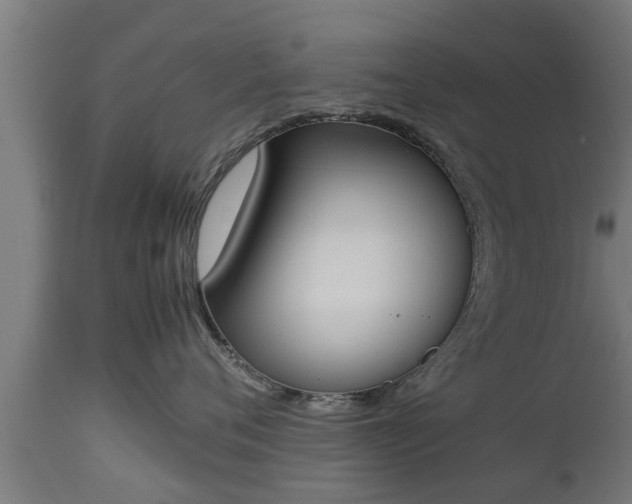X0000112850720200908281603