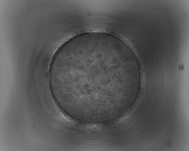X0000112850721200908281603
