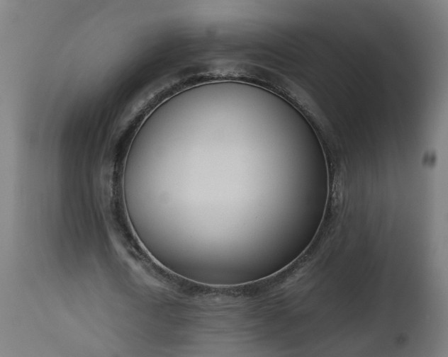X0000112850722200908281603