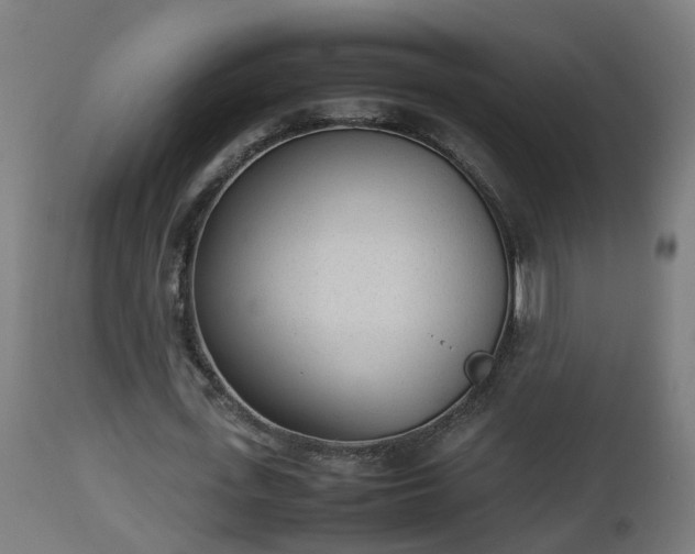 X0000112850723200908281603