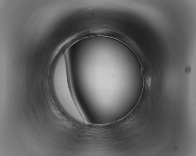 X0000112850724200908281603