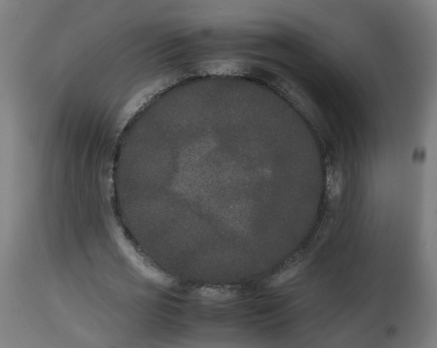 X0000112850725200908281603