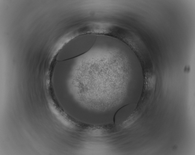 X0000112850726200908281603