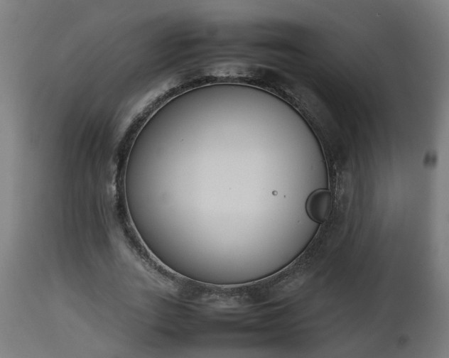 X0000112850727200908281603