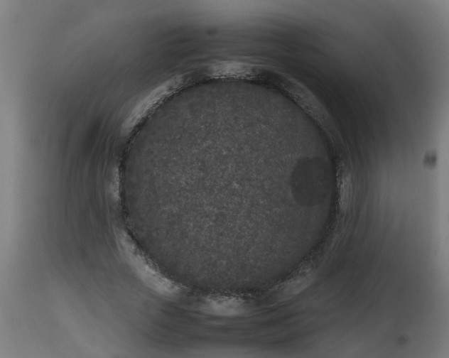 X0000112850729200908281603