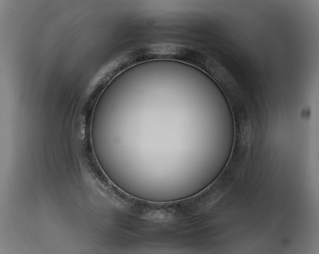 X0000112850731200908281603