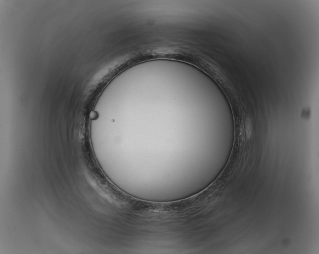 X0000112850732200908281603