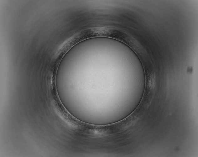 X0000112850733200908281603