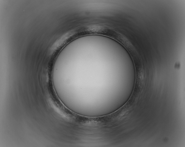 X0000112850734200908281603