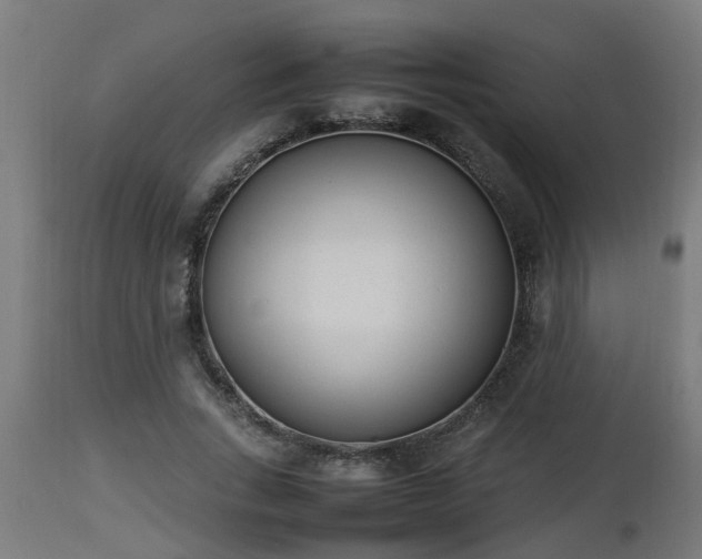 X0000112850735200908281603