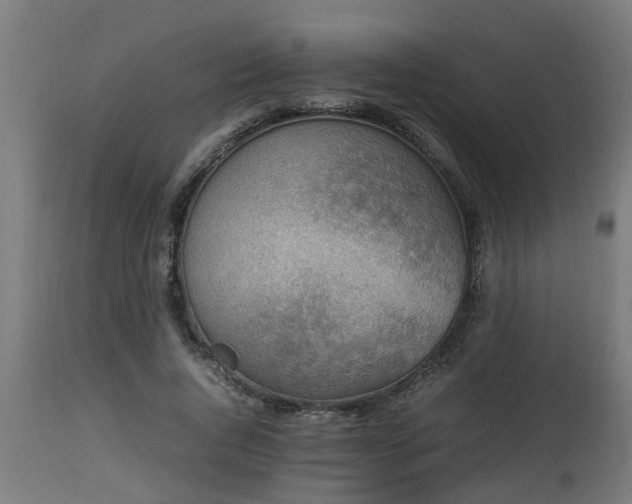 X0000112850736200908281603