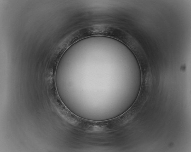 X0000112850737200908281603