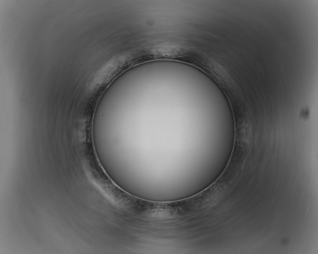 X0000112850738200908281603