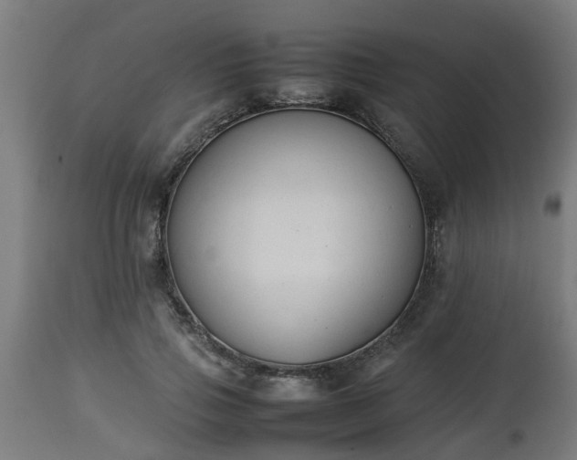 X0000112850741200908281603