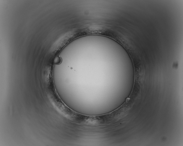 X0000112850742200908281603