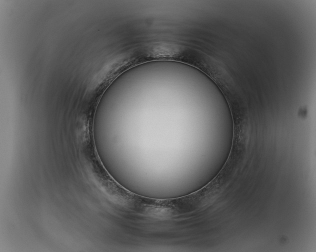 X0000112850743200908281603