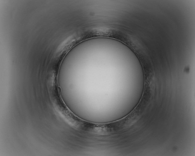 X0000112850744200908281603