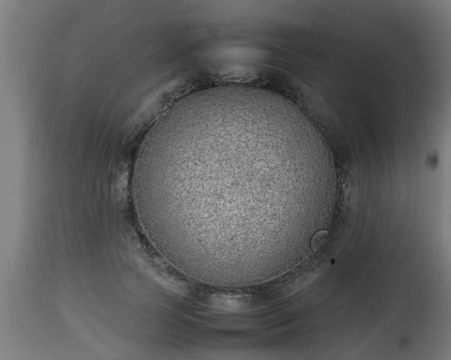 X0000112850745200908281603