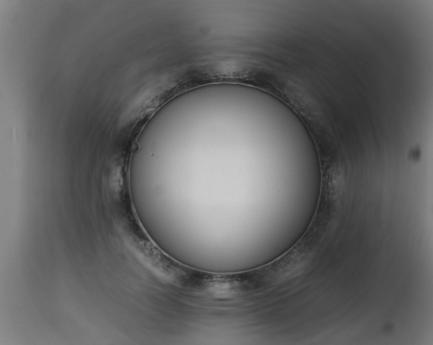 X0000112850746200908281603