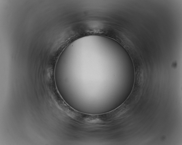 X0000112850747200908281603